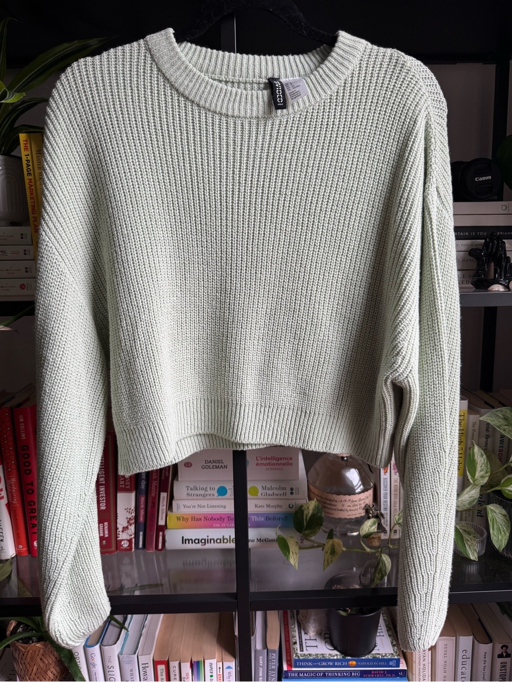 Divided Cropped Crewneck Sweater in Sage